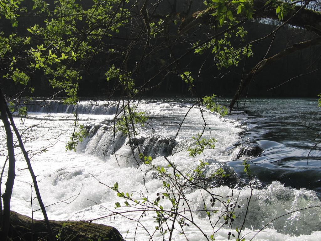 Guesthouse Novak Dvor Dış mekan fotoğraf