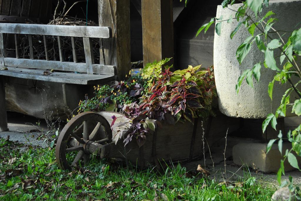 Guesthouse Novak Dvor Dış mekan fotoğraf
