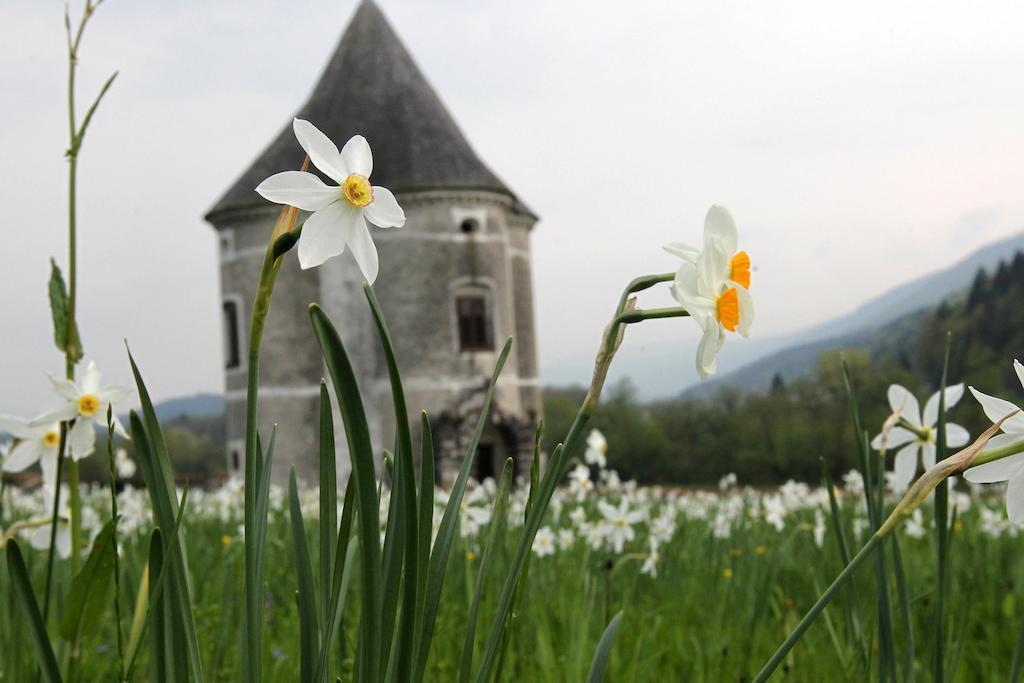 Guesthouse Novak Dvor Dış mekan fotoğraf